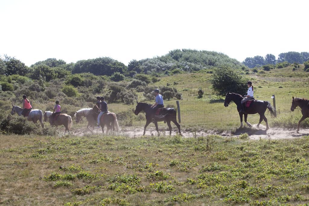Bungalows - Bungalowpark Mooyeveld - Uniek Gelegen In De Duinen! Egmond-Binnen Εξωτερικό φωτογραφία